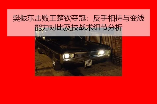 樊振东击败王楚钦夺冠：反手相持与变线能力对比及技战术细节分析